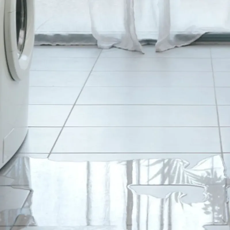 Appliance Leak Cleanup in Iron River, MI