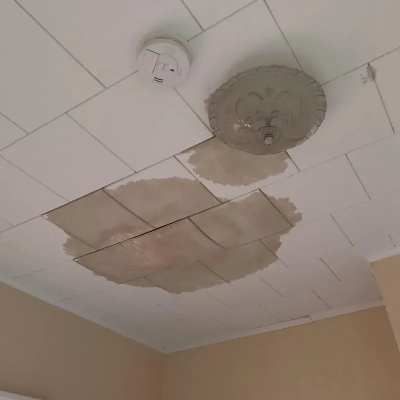 Ceiling Water Damage Repair in Iron River, MI