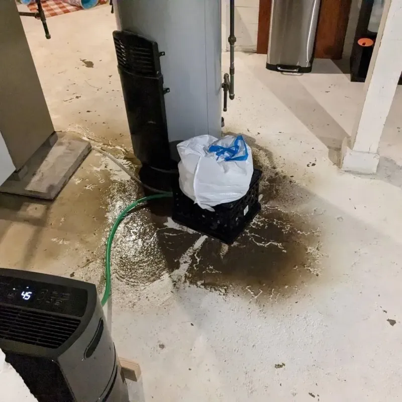 Sewage Backup Cleanup Service in Iron River, MI